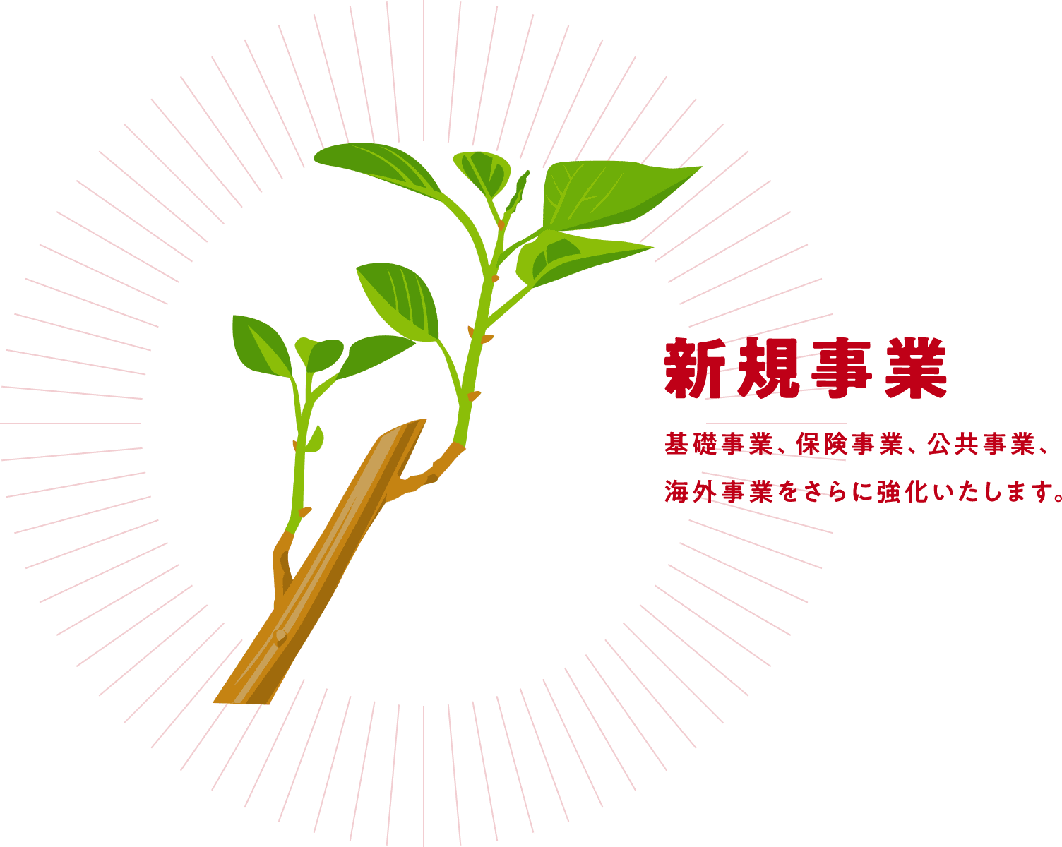 新規事業